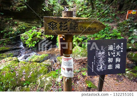 Kurosan Misaki 132255101