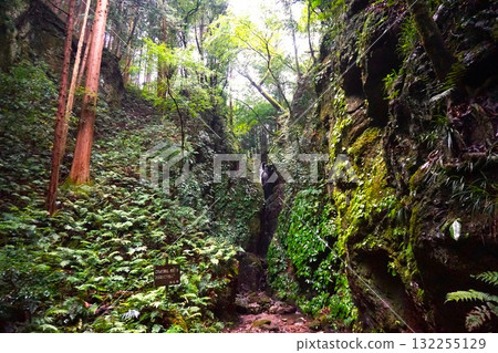 Kurosan Misaki 132255129