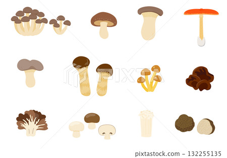 A set of outlineless mushroom illustrations A set of outlineless mushroom illustrations 132255135
