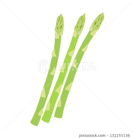 Simple illustration of asparagus 132255136