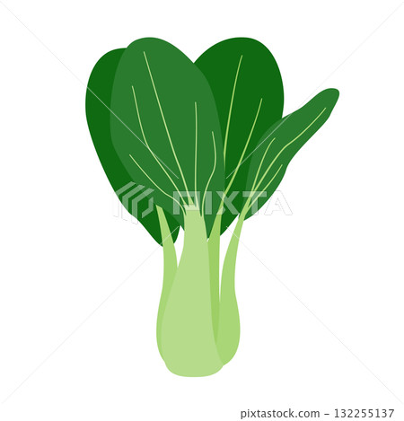白菜的簡單插圖 132255137