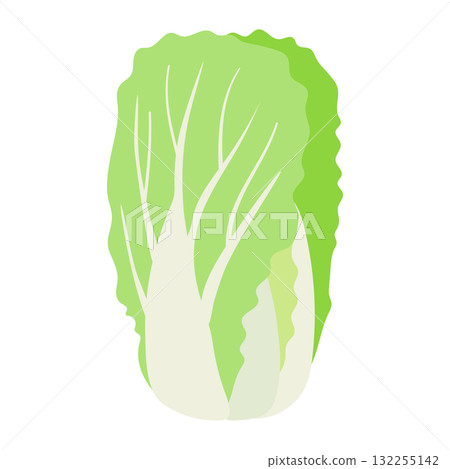大白菜的簡單圖解 132255142