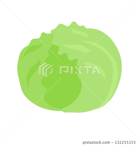 生菜的簡單插圖 132255153