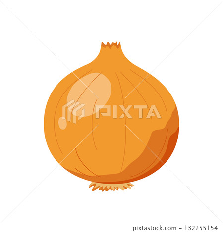 洋蔥的簡單插圖 洋蔥的簡單插圖 132255154