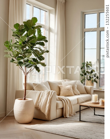 Cozy living room with sofa, fiddle leaf fig, and morning sunlight Cozy living room with sofa, fiddle leaf fig, and morning sunlight 132255601