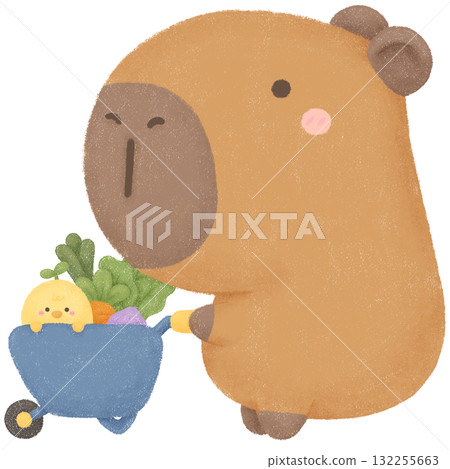 Capybara garden  132255663