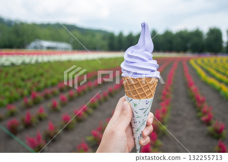 Hand holding lavender soft serve ice cream cone in flower field outdoors at Hokkaido, Japan 132255713