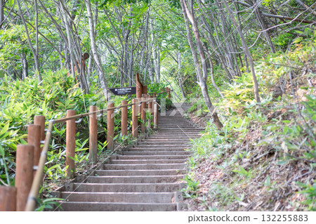 Outdoor wooden stairs pathway surrounded by green trees in forest park at Noboribetsu Jigokudani Valley, Noboribetsu, Hokkaido, Japan Outdoor wooden stairs pathway surrounded by green trees in forest park at Noboribetsu Jigokudani Valley, Noboribetsu, Hokkaido, Japan 132255883