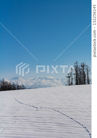 雪山和火山峰十勝岳 132256145