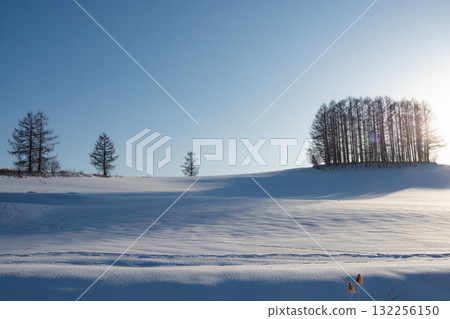 卡拉松森林和白雪皚皚的山丘上的日落 132256150