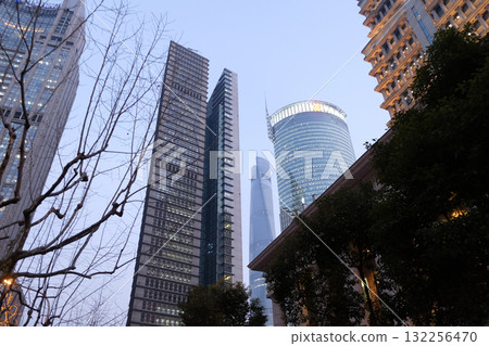 Financial towers in the Pudong east side of Shanghai, China 132256470