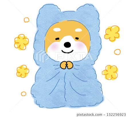 一隻溫暖、快樂的柴犬裹著淺藍色的毯子。 一隻溫暖、快樂的柴犬裹著淺藍色的毯子。 132256923