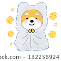 一隻溫暖而快樂的柴犬裹著灰色的毯子。 132256924