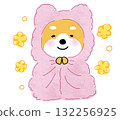 一隻裹著粉紅色毯子的溫暖快樂的柴犬 132256925