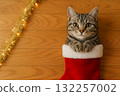 戴著金花圈的紅色聖誕襪裡的貓 132257002