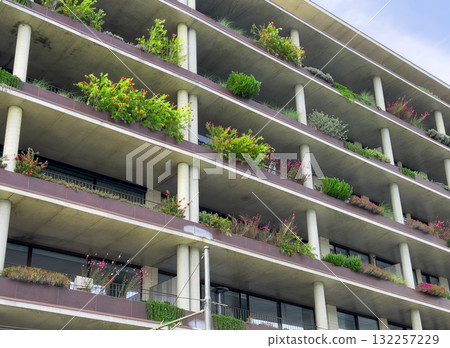 Building balcony bursts with lush greenery. Colorful flowers and foliage in planters create modern Building balcony bursts with lush greenery. Colorful flowers and foliage in planters create modern 132257229
