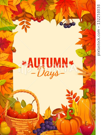 Autumn days fall season holiday vector poster with maple, birch and oak leaves, pumpkins and butternut squash, fruits, grapes, corn cob, mushrooms and berries. Cartoon Thanksgiving autumn banner Autumn days fall season holiday vector poster with maple, birch and oak leaves, pumpkins and butternut squash, fruits, grapes, corn cob, mushrooms and berries. Cartoon Thanksgiving autumn banner 132258038
