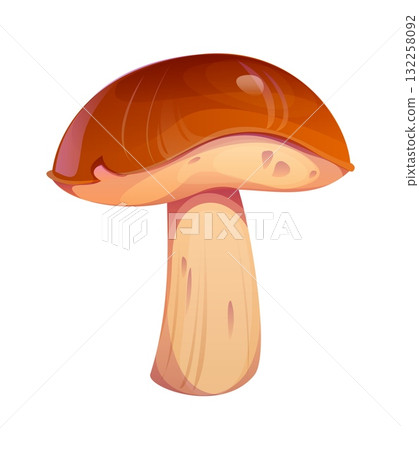 Cartoon autumn mushroom, isolated vector wild forest plant showcasing fresh, brown, edible cap. Seasonal porcini or boletus fungus, fall season harvest, natural vegetarian food, woodland environment Cartoon autumn mushroom, isolated vector wild forest plant showcasing fresh, brown, edible cap. Seasonal porcini or boletus fungus, fall season harvest, natural vegetarian food, woodland environment 132258092