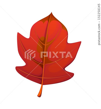 Cartoon autumn leaf, capturing the essence of fall season with warm red hues and spots. Isolated vector fallen tree foliage symbolizing seasonal change and nature transition. Fallen forest tree leaf Cartoon autumn leaf, capturing the essence of fall season with warm red hues and spots. Isolated vector fallen tree foliage symbolizing seasonal change and nature transition. Fallen forest tree leaf 132258145