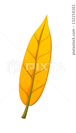 Cartoon yellow autumn leaf with veins, fall season tree foliage featuring smooth texture and slender shape. Isolated vector natural seasonal decor, emphasizing the beauty of the fall changing foliage Cartoon yellow autumn leaf with veins, fall season tree foliage featuring smooth texture and slender shape. Isolated vector natural seasonal decor, emphasizing the beauty of the fall changing foliage 132258161