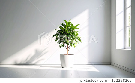 A cute plant in the room 132258263