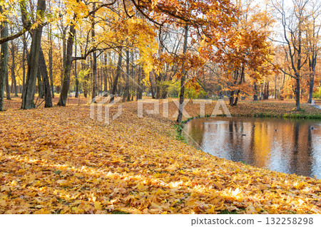 Serene pond reflects golden autumn foliage, surrounded by tall trees in vibrant colors. Peaceful natural scene. Fallen leaves on the ground. Seasonal nature background. Serene pond reflects golden autumn foliage, surrounded by tall trees in vibrant colors. Peaceful natural scene. Fallen leaves on the ground. Seasonal nature background. 132258298