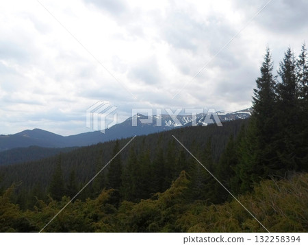 Misty Evergreen Mountains with Snowy Peaks Under a Cloudy Sky Misty Evergreen Mountains with Snowy Peaks Under a Cloudy Sky 132258394