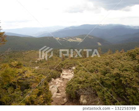Rocky Mountain Trail with Evergreen Shrubs and Distant Forested Peaks Rocky Mountain Trail with Evergreen Shrubs and Distant Forested Peaks 132258399