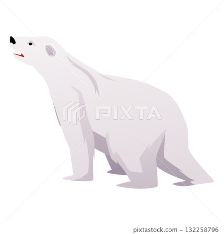 Cartoon polar bear standing with head up, a polar predator. Cartoon polar bear standing with head up, a polar predator. 132258796