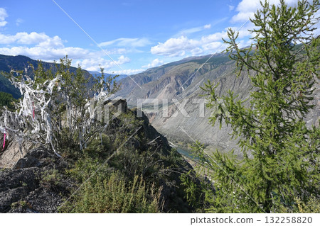 White ritual ribbons tied on a bush 132258820