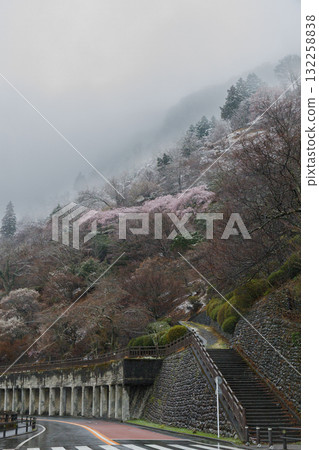 霧氣瀰漫、春雪繚繞的奧多摩湖、見晴山 霧氣瀰漫、春雪繚繞的奧多摩湖、見晴山 132258838