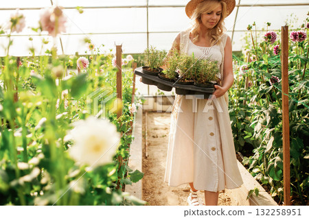 Walking and holding bunch of plants in plastic pots. Beautiful woman is in the greenhouse Walking and holding bunch of plants in plastic pots. Beautiful woman is in the greenhouse 132258951