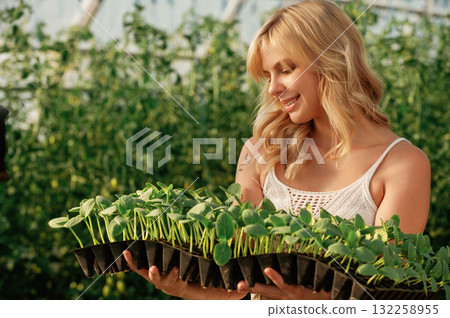 Plants in the row. In plastic pots. Holding in hands. Beautiful woman is in the greenhouse Plants in the row. In plastic pots. Holding in hands. Beautiful woman is in the greenhouse 132258955