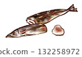 烤鹹秋刀魚和蘿蔔泥的插圖（墨水筆水彩風格） 132258972