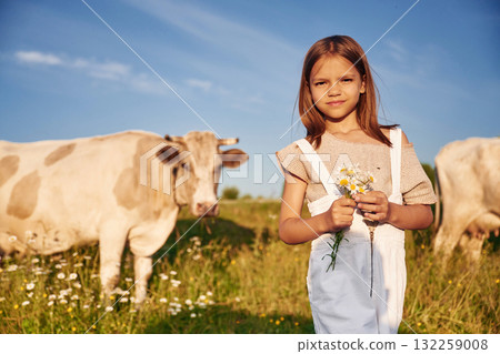 Domestic animal, cows are behind, standing. Cute little girl is on the farm Domestic animal, cows are behind, standing. Cute little girl is on the farm 132259008