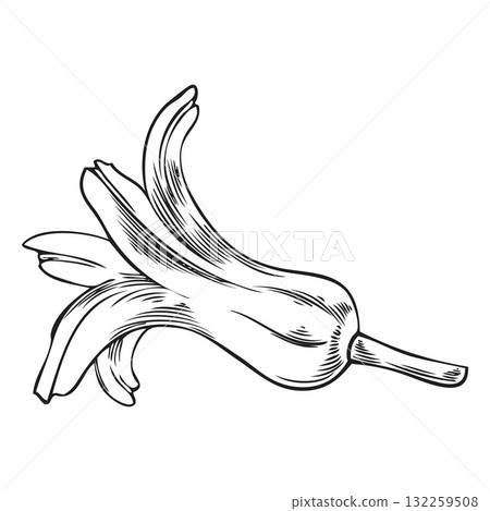 Black and white sketch of a hyacinth flower, vintage hand engraving. 132259508