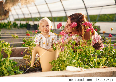 Showing red flowers to the baby. Mother and daughter are in the greenhouse 132259643