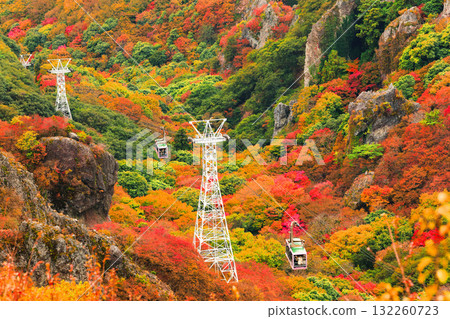 【香川縣】寒霞溪的紅葉盛景 132260723