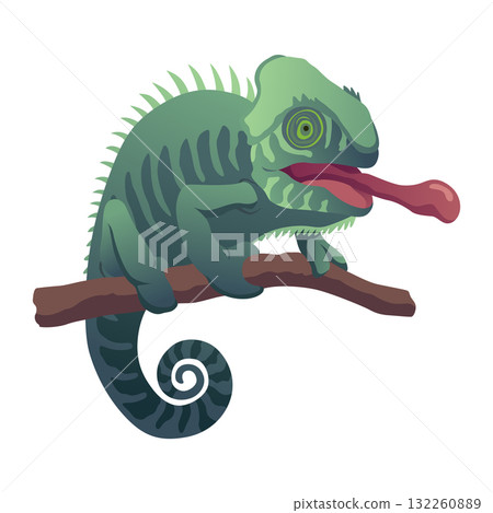 Chameleon lizard. Reptiles with curved tail and camouflage skin, tropical wildlife. Vector exotic animal illustration 132260889