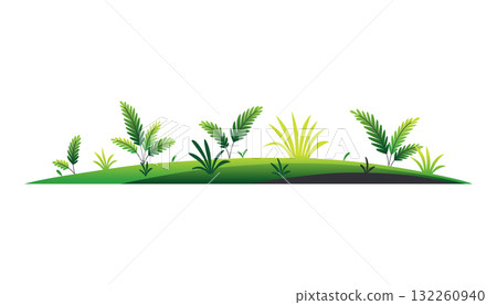 Green lawn with grass and plants on white background, composition of plants on the sunny lawn 132260940