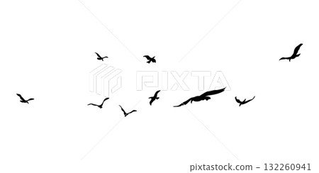 A Flock of Silhouetted Birds in Majestic Flight Across the Sky 132260941