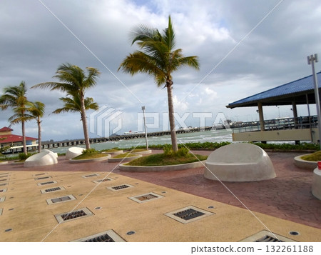 Scenic Tropical Promenade with Palm Trees and Ocean View Near a Pier on a Cloudy Day Scenic Tropical Promenade with Palm Trees and Ocean View Near a Pier on a Cloudy Day 132261188