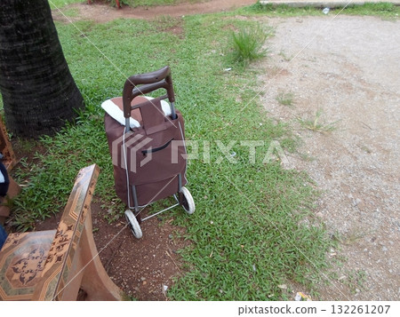 A Park Bench Beside a Trolley Bag on a Grassy Area with a Palm Tree Nearby A Park Bench Beside a Trolley Bag on a Grassy Area with a Palm Tree Nearby 132261207