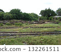 Overgrown Railway Yard with Stacked Wooden Planks and Dense Trees Under a Pale Sky 132261511