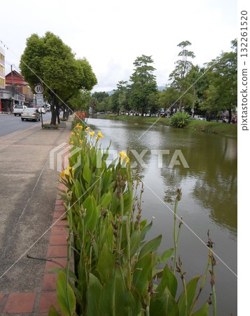 Riverside Pathway with Yellow Flowers and Lush Greenery Along a Quiet Waterway Riverside Pathway with Yellow Flowers and Lush Greenery Along a Quiet Waterway 132261520