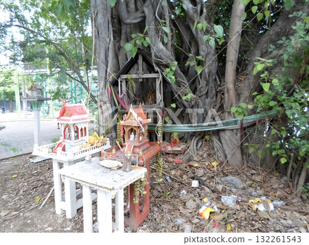 Traditional Thai Spirit Houses at the Base of a Large Tree with Offerings Traditional Thai Spirit Houses at the Base of a Large Tree with Offerings 132261543