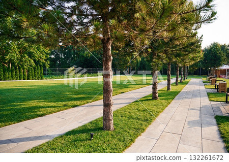 Path with trees, recreation area at summer daytime Path with trees, recreation area at summer daytime 132261672