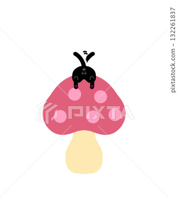 一隻貓站在蘑菇上，尾巴朝外。 132261837