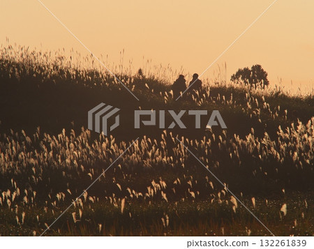 Autumn in the Soni Plateau: A couple walking along a promenade surrounded by the setting sun and Japanese silver grass 132261839