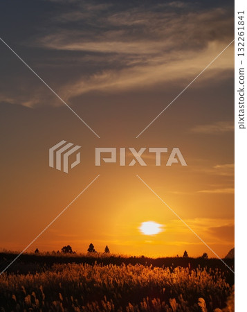 Watching the sunset over the Japanese pampas grass from the Soni Plateau in autumn Watching the sunset over the Japanese pampas grass from the Soni Plateau in autumn 132261841